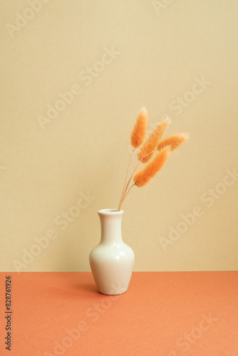 Obraz na płótnie Vase of orange Lagurus ovatus dry flower on red table. khaki beige background w salonie