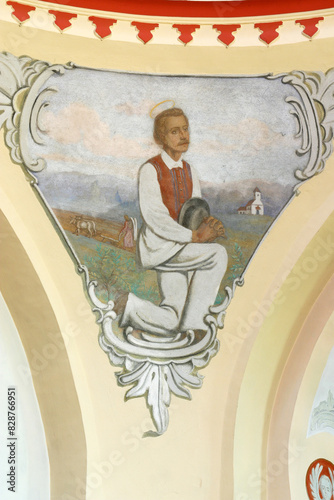 Saint Isidore the Laborer, fresco on the ceiling of the church of Saint Barbara in the Bedekovcina, Croatia photo