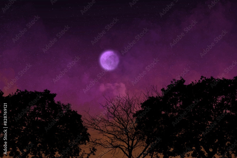 Fototapeta premium moon and clouds