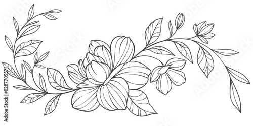 Sketch Floral Botany Collection. flower drawings. Black and white with line art on white backgrounds. Hand Drawn Botanical Illustrations.Vector.