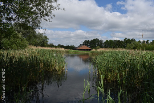 Natural lake scene on a marshland in UK