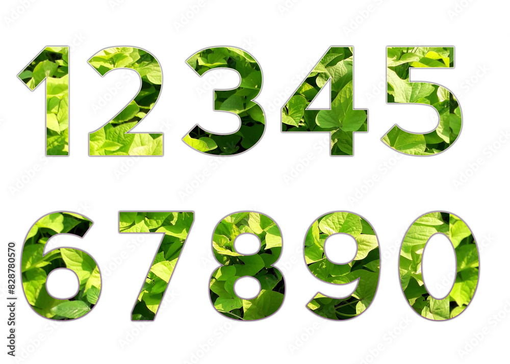 Set design number 0-9 with leaf texture on white background, set of number leaf texture. Set design number 0-9 with leaf texture on white background, set of number leaf texture.