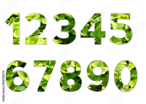 Set design number 0-9 with leaf texture on white background, set of number leaf texture.