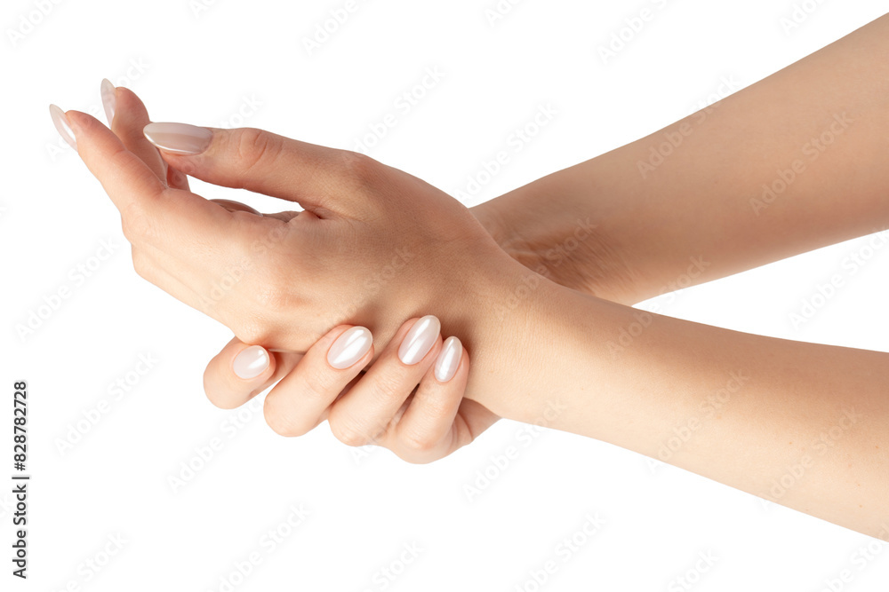 Woman hands  isolated on a white background.