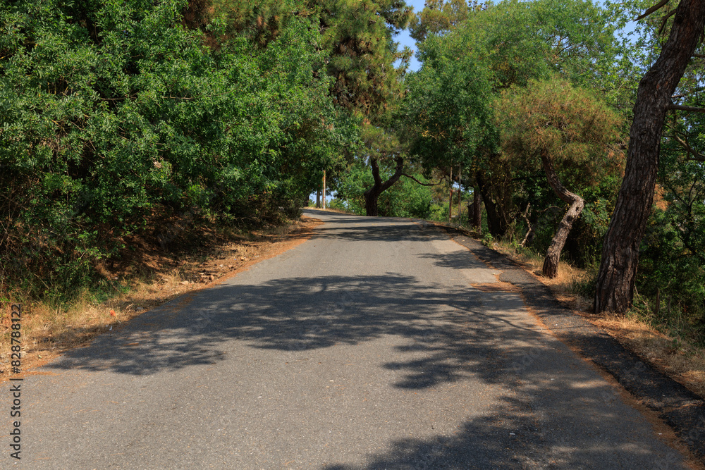 Fototapeta premium Beautiful road and landscape, streets and roads of a southern small town, public place in Turkey, on a summer sunny day