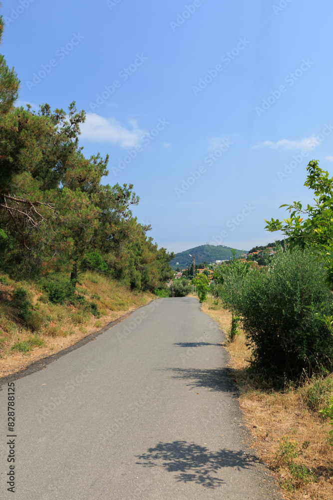 Beautiful road and landscape, streets and roads of a southern small town, public place in Turkey, on a summer sunny day Beautiful road and landscape, streets and roads of a southern small town, public place in Turkey, on a summer sunny day