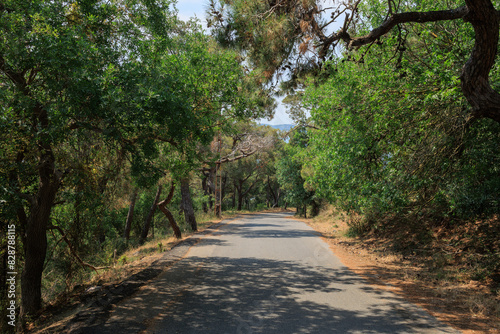Fototapeta Naklejka Na Ścianę i Meble -  Beautiful road and landscape, streets and roads of a southern small town, public place in Turkey, on a summer sunny day