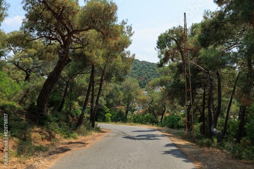 Fototapeta Naklejka Na Ścianę i Meble -  Beautiful road and landscape, streets and roads of a southern small town, public place in Turkey, on a summer sunny day