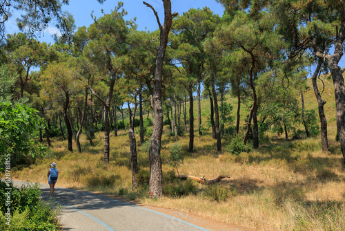 Fototapeta Naklejka Na Ścianę i Meble -  Beautiful road and landscape, streets and roads of a southern small town, public place in Turkey, on a summer sunny day