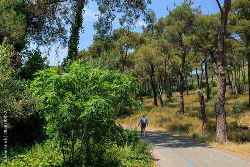 Fototapeta Naklejka Na Ścianę i Meble -  Beautiful road and landscape, streets and roads of a southern small town, public place in Turkey