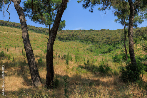Fototapeta Naklejka Na Ścianę i Meble -  Beautiful road and landscape, streets and roads of a southern small town, public place in Turkey