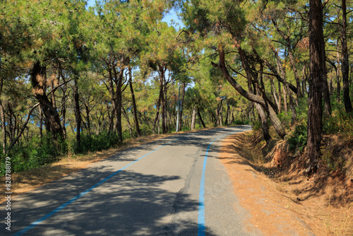 Fototapeta Naklejka Na Ścianę i Meble -  Beautiful road and landscape, streets and roads of a southern small town, public place in Turkey, on a summer sunny day