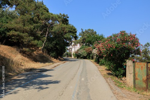 Fototapeta Naklejka Na Ścianę i Meble -  Beautiful road and landscape, streets and roads of a southern small town, public place in Turkey, on a summer sunny day