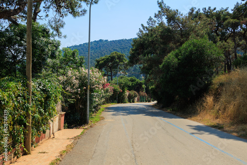 Fototapeta Naklejka Na Ścianę i Meble -  Beautiful road and landscape, streets and roads of a southern small town, public place in Turkey