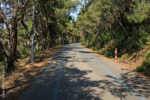 Fototapeta Naklejka Na Ścianę i Meble -  Beautiful road and landscape, streets and roads of a southern small town, public place in Turkey, on a summer sunny day