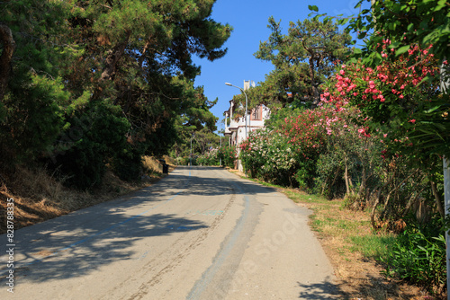 Fototapeta Naklejka Na Ścianę i Meble -  Beautiful road and landscape, streets and roads of a southern small town, public place in Turkey, on a summer sunny day