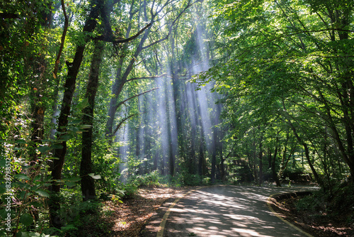 Fototapeta Naklejka Na Ścianę i Meble -  Beautiful road and landscape, streets and roads of a southern small town, public place in Turkey, on a summer sunny day