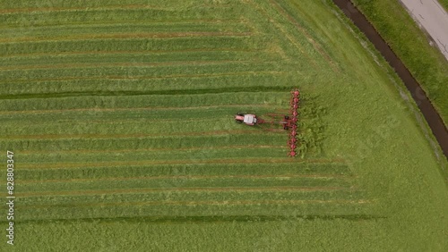 Harvesting Season: Aerial Shot of Tractor Shaking Grass on Farmland, topdown (ID: 828803347)