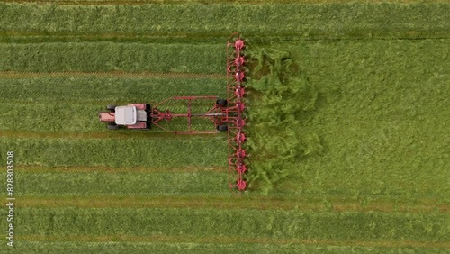 Aerial View: Tractor Shaking Grass on the Field in Farmland during Harvesting, topdown (ID: 828803508)