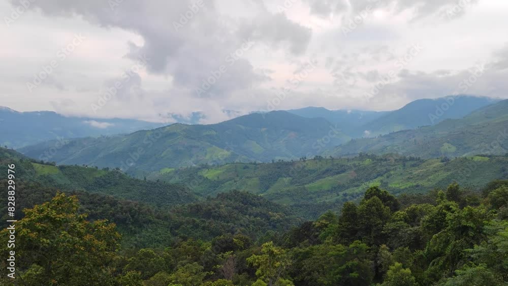 Green Nature Landscape Green Mountain Valley with Misty Fog at Doi Sakad Pua Nan Thailand in Rainy Season - abstract background Green Nature Landscape Green Mountain Valley with Misty Fog at Doi Sakad Pua Nan Thailand in Rainy Season - abstract background