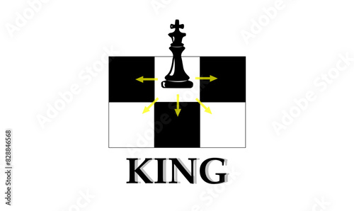 positions and moves of chess pieces, in a game of chess