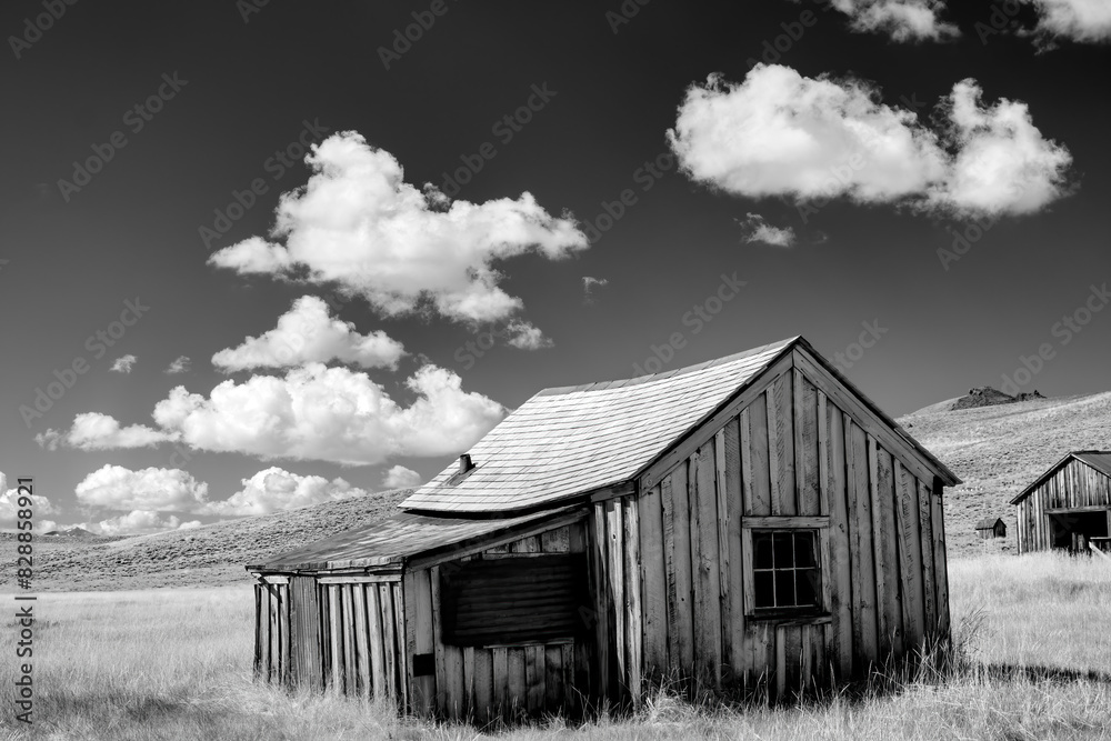 Obraz premium Little wood shack in a California ghost town