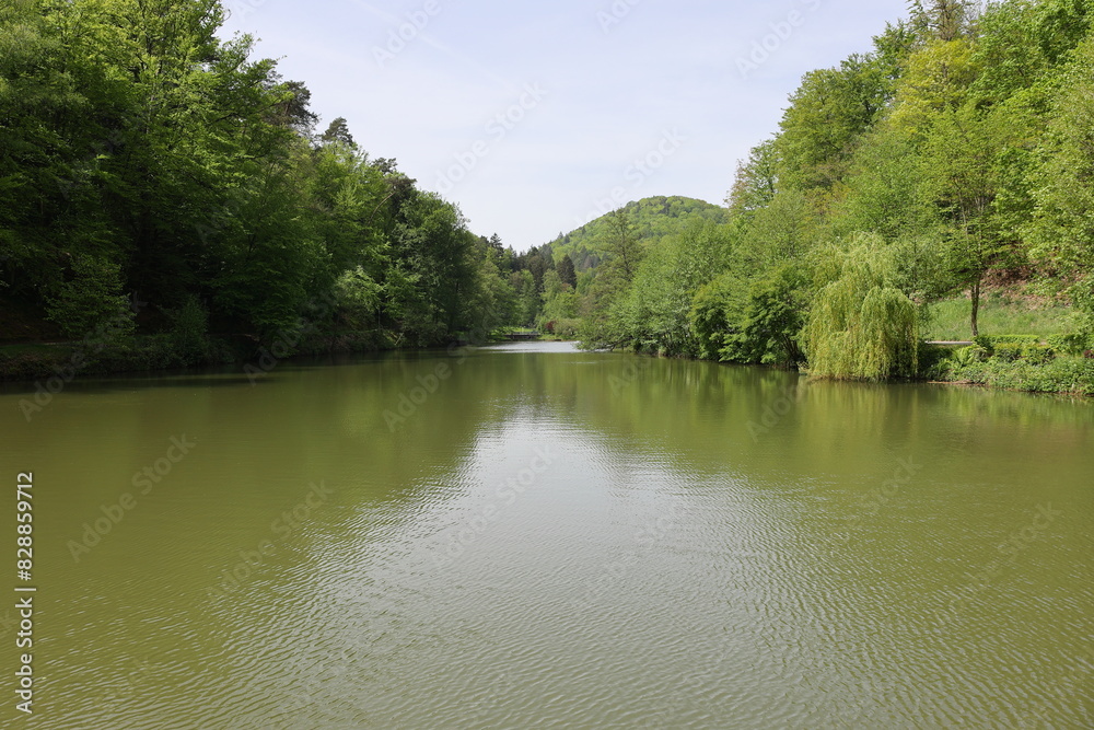 blick auf den schwanenweiher im kurpark von bad bergzabern blick auf den schwanenweiher im kurpark von bad bergzabern