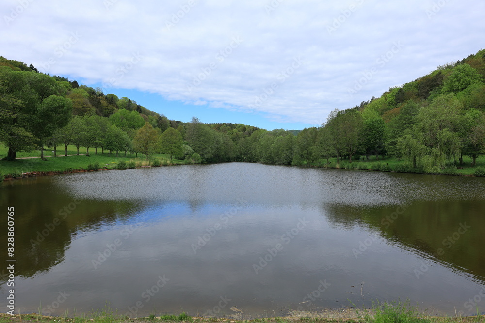 silzer see im pfälzerwald bei silz silzer see im pfälzerwald bei silz