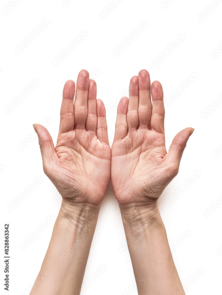 Empty hands of woman or man isolated on white background top view
Empty hands of woman or man isolated on white background top view