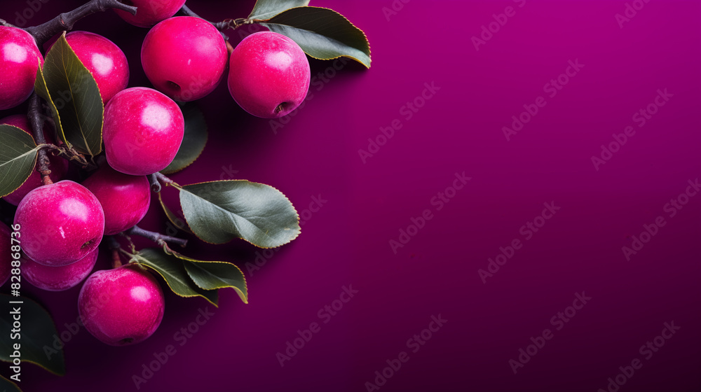 Cluster of Fresh Red Plums on a Branch Cluster of Fresh Red Plums on a Branch