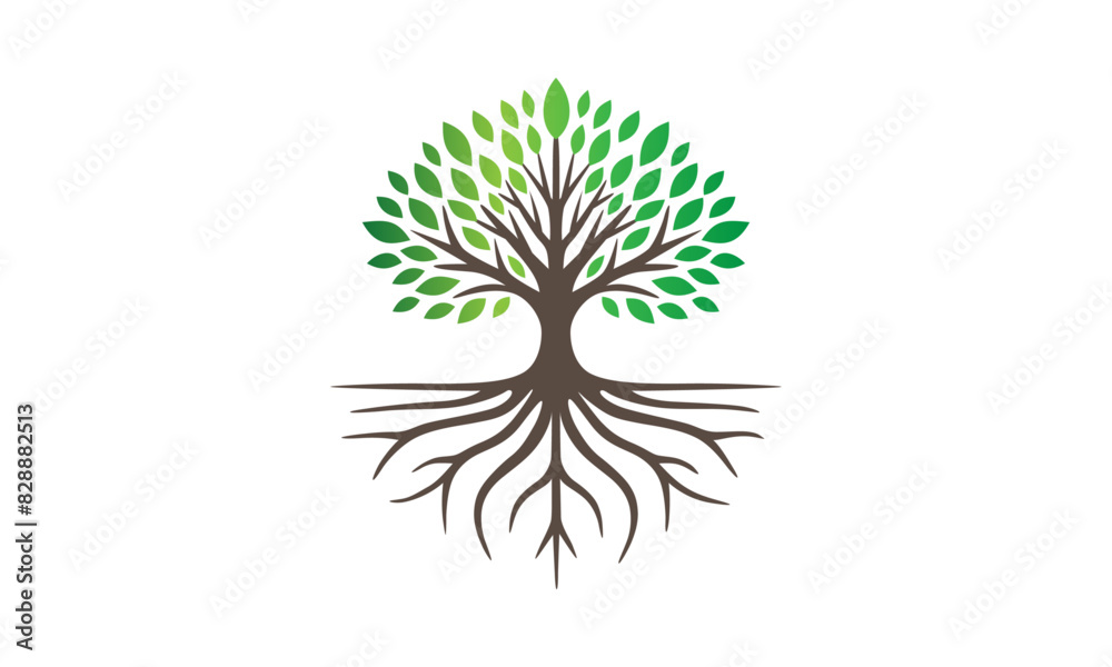 Obraz premium tree vector logo vector art roots illustration isolated green tree 