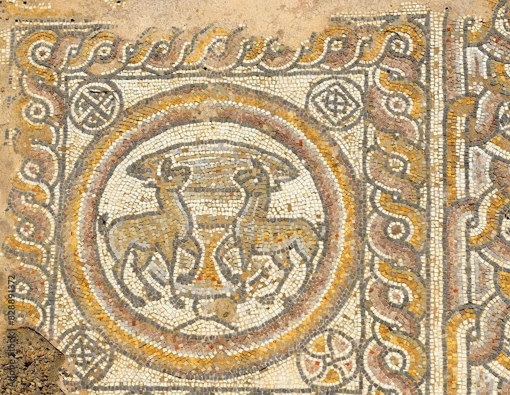 Ancient mosaics, Ruins of the ancient city, Stobi, North Macedonia. City was founded in 359 BC. Ancient mosaics, Ruins of the ancient city, Stobi, North Macedonia. City was founded in 359 BC.