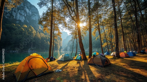 Group of Tents in the Woods