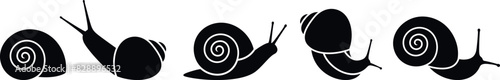 Grape snail logo. Isolated grape snail on white background