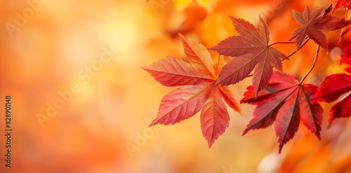 Close-up of bright red and orange autumn leaves with a blurred warm-colored background in soft focus