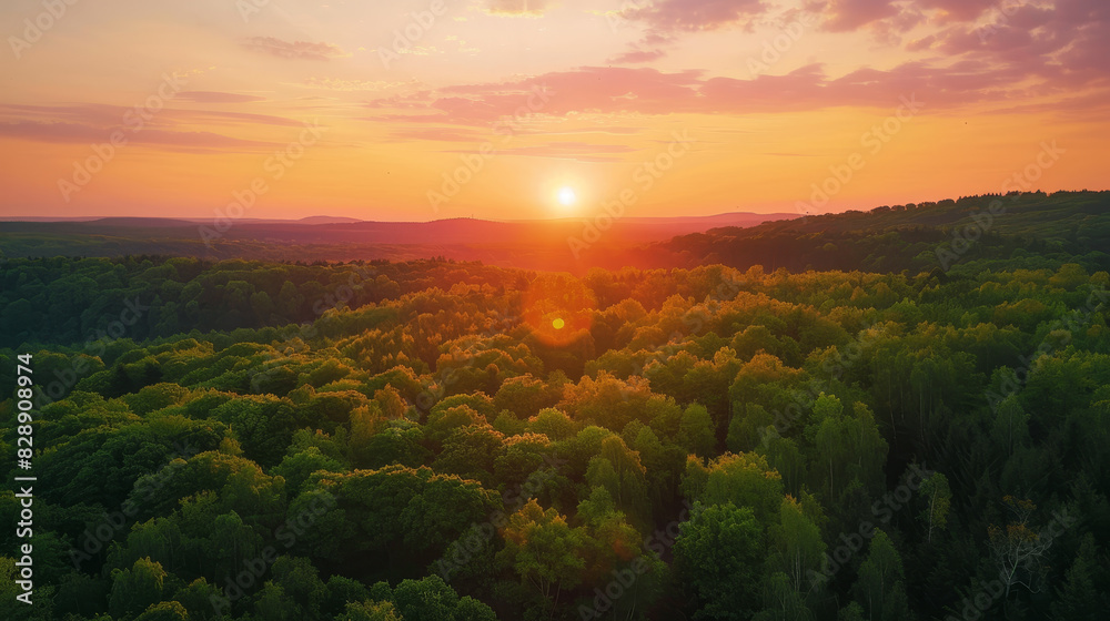 A beautiful sunset over a forest with trees in the foreground A beautiful sunset over a forest with trees in the foreground
