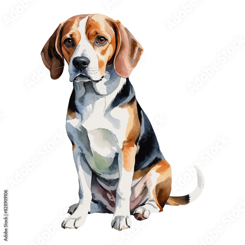 Beagle Dog Hand Drawn Watercolor Painting Illustration