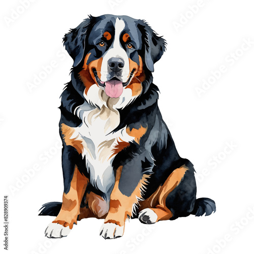 Bernese Dog Hand Drawn Watercolor Painting Illustration