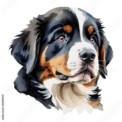 Bernese Dog Puppy Hand Drawn Watercolor Painting Illustration