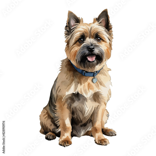 Cairn Terrier Dog Hand Drawn Watercolor Painting Illustration