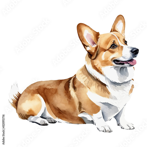 Corgi Dog Hand Drawn Watercolor Painting Illustration