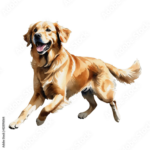 Golden Retriever Dog Hand Drawn Watercolor Painting Illustration