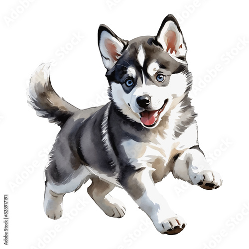 Husky Dog Puppy Hand Drawn Watercolor Painting Illustration