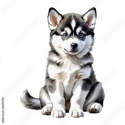 Husky Dog Puppy Hand Drawn Watercolor Painting Illustration
