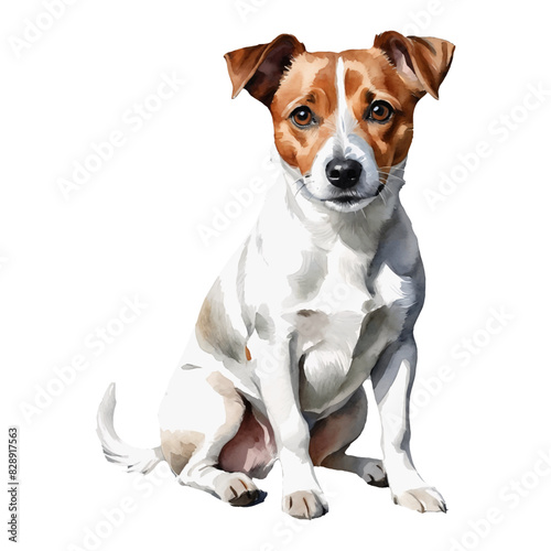 Jack Russel Dog Hand Drawn Watercolor Painting Illustration