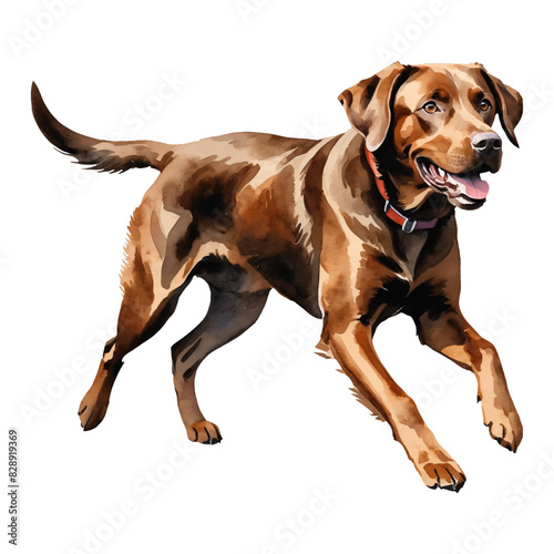 Brown Labrador Retriever Dog Hand Drawn Watercolor Painting Illustration