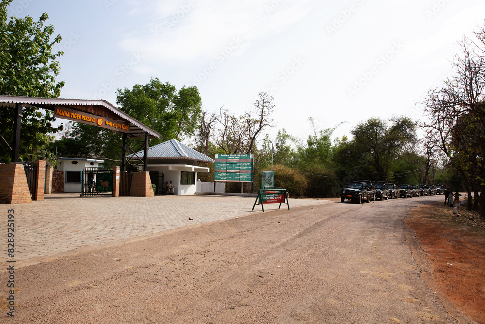 PANNA, INDIA-MAY 04: Panna tiger reserve main gate and tourist Safari jeeps waiting in line at Panna Tiger Reserve, Madhya Pradesh, India on May 04, 2024 PANNA, INDIA-MAY 04: Panna tiger reserve main gate and tourist Safari jeeps waiting in line at Panna Tiger Reserve, Madhya Pradesh, India on May 04, 2024