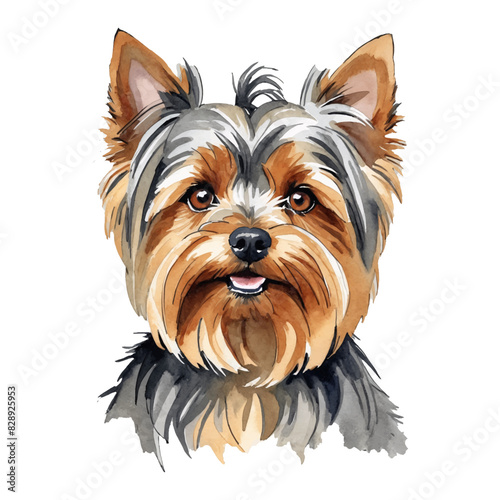 Yorkshire Terrier Dog Hand Drawn Watercolor Painting Illustration