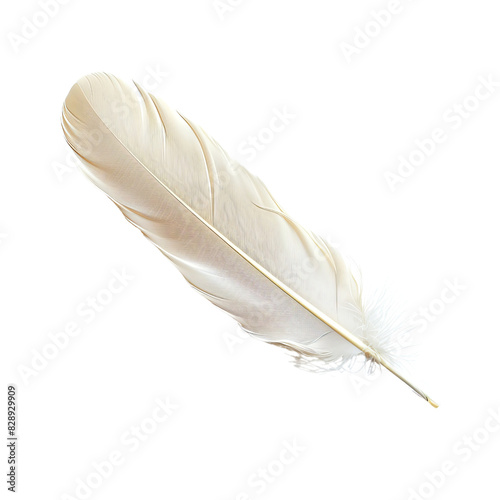 White Feather Isolated without Background, Light and Soft in Appearance