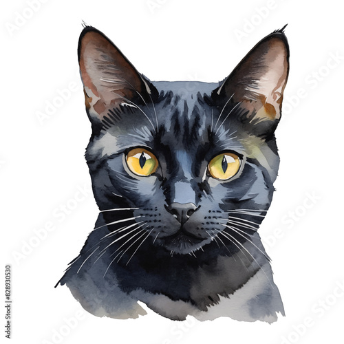 Black Bombay Cat Portrait Hand Drawn Watercolor Painting Illustration